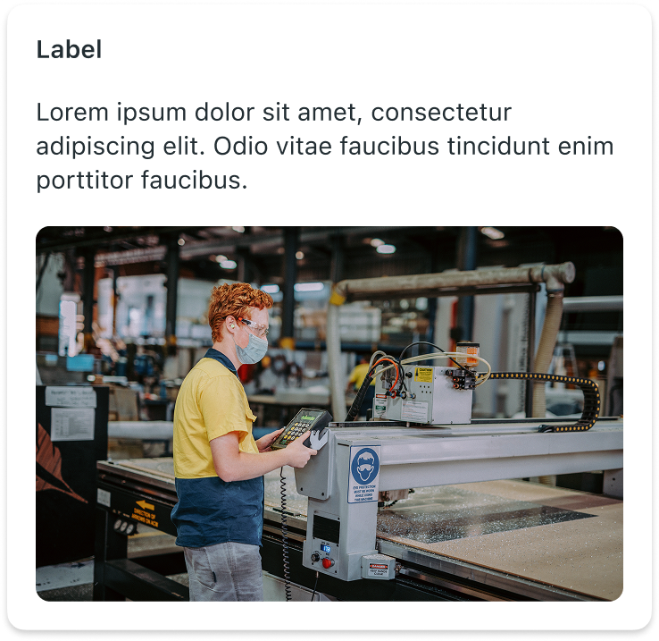 Descriptive elements - label + image + text.png