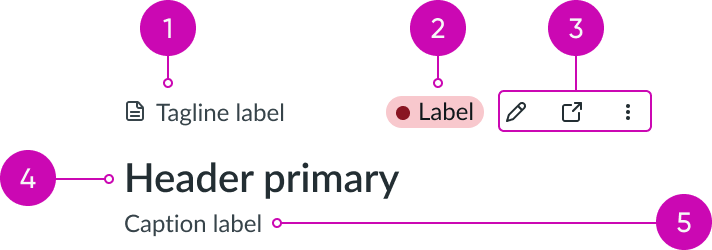 card header anatomy