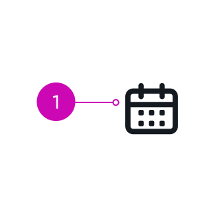 icon anatomy