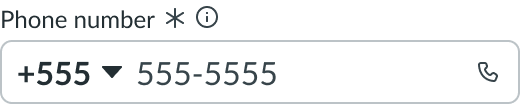 select in input field phone