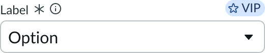 input field slot at the beginning of a form input field.