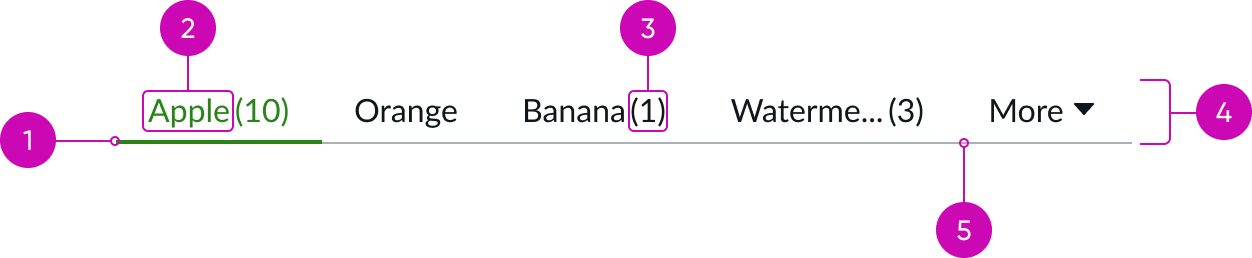 Tab Anatomy