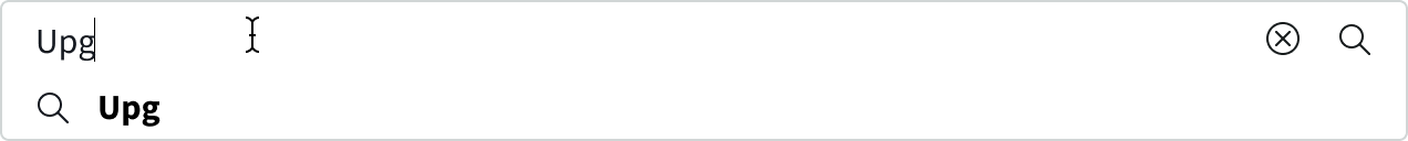 single result exactly matching the user's query