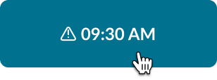 selected state for an appointment in day view