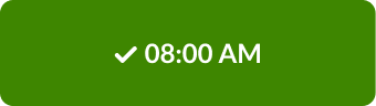 selected state for an appointment in day view