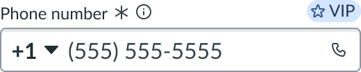 input field slot at the beginning of a form input field.