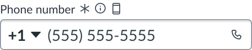 input field slot at the beginning of a form input field.