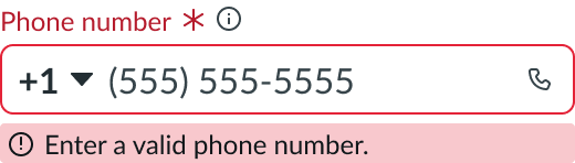 The input phone field in an invalid state, showing a message telling the user what caused the error
