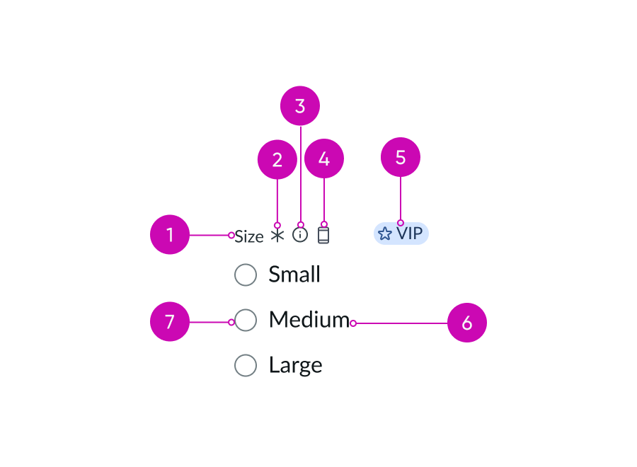 Anatomy of radio buttons parts