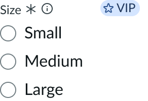 input field slot at the beginning of a form input field.