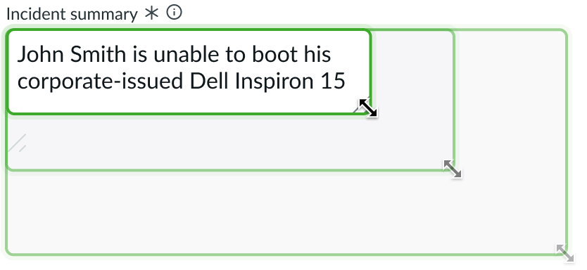 input field resized horizontally and vertically