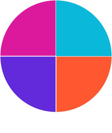 Shows pie chart without labels to identify data slices