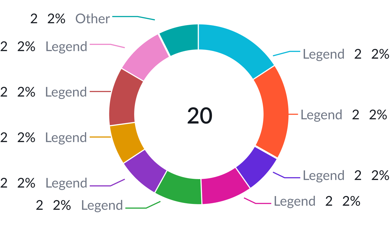 Displays a donut chart with the maximum number of slices and the other category for overflow data]