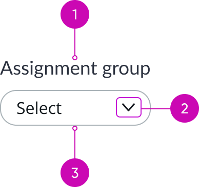 anatomy for filter component