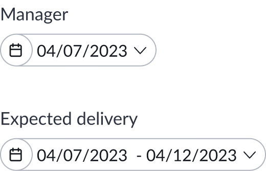 date type of filters, showing a single date and date
ranges