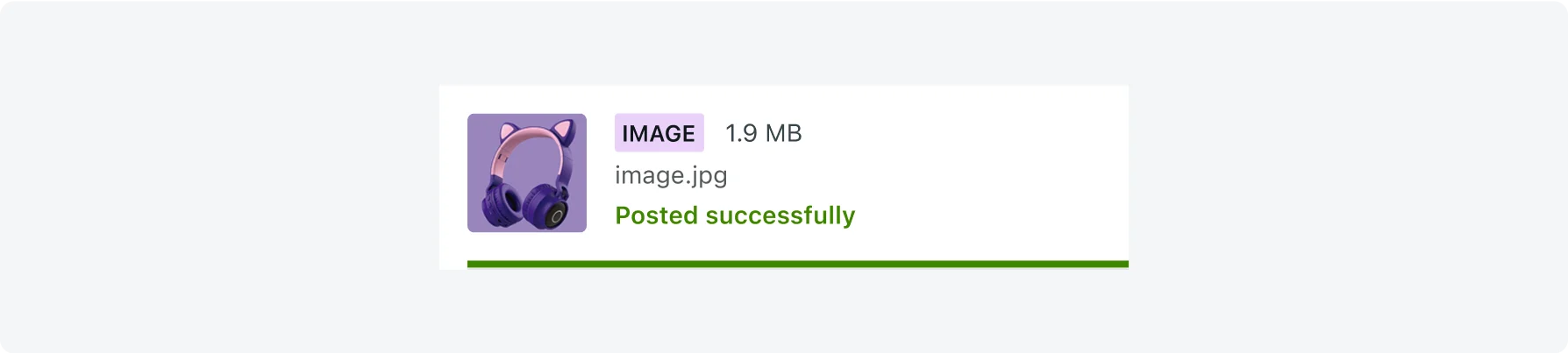 Successfully uploaded file displays a success status