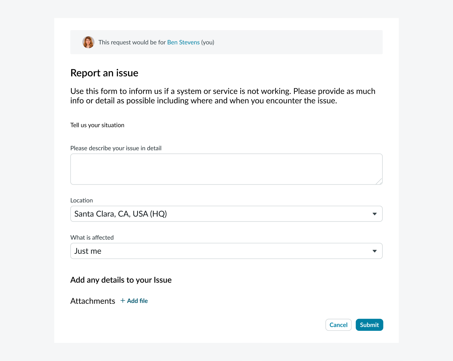 reporting an issue using the catalog item