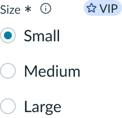 input field slot at the beginning of a form input field.