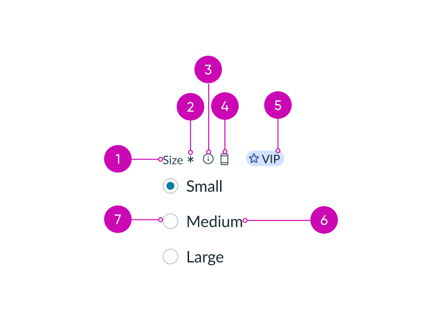 Anatomy of radio buttons parts