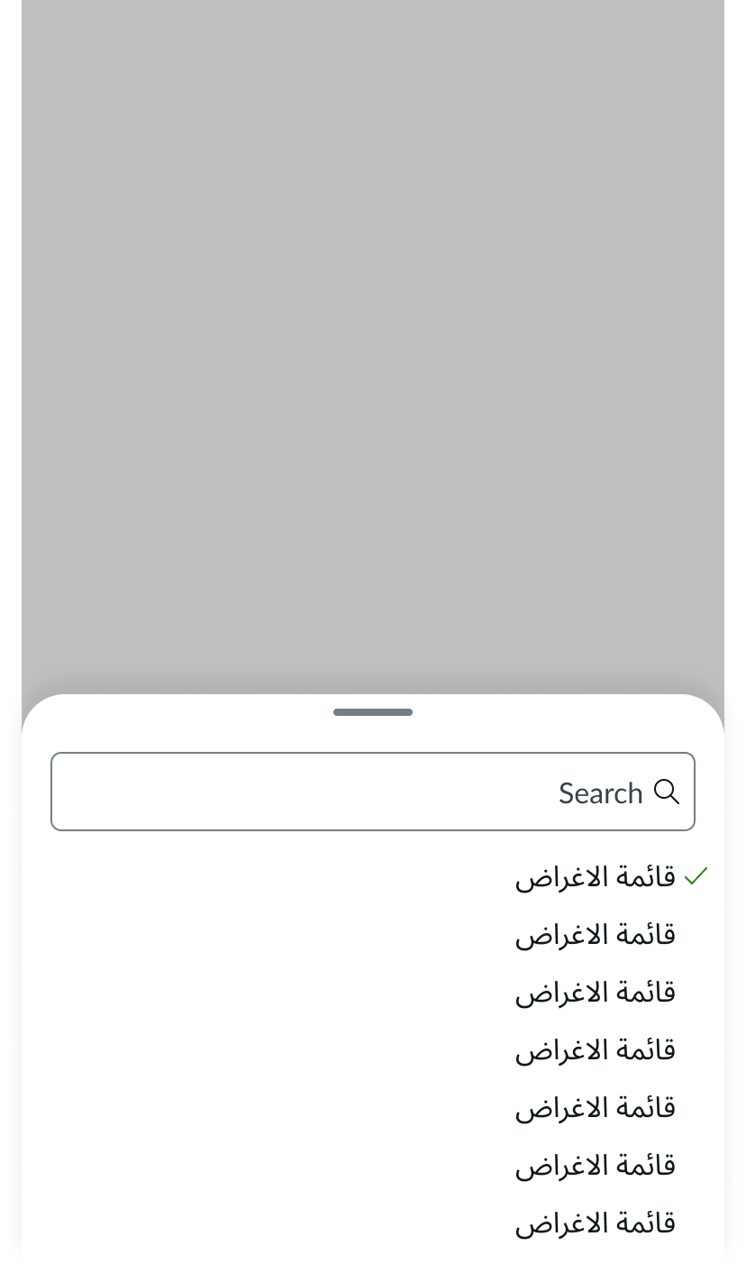 Sheet displayed in a right-to-left language with the slot content appearing right-to-left.