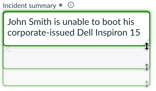 input field resized vertically