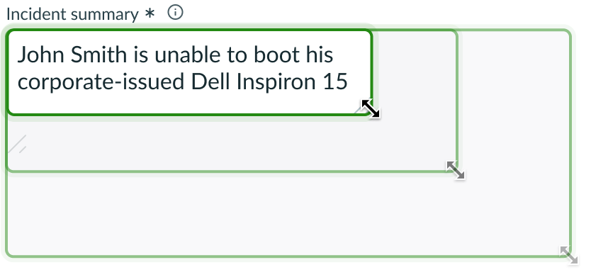input field resized horizontally and vertically