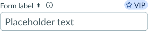 input field slot at the beginning of a form input field.