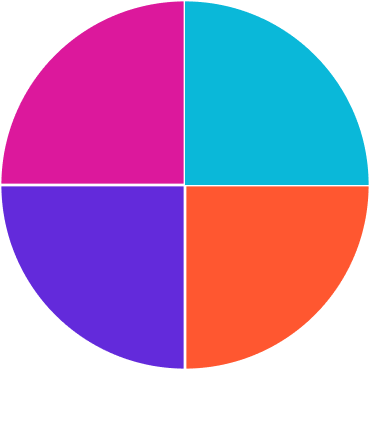 Shows pie chart without labels to identify data slices