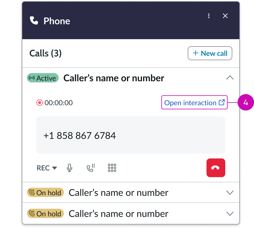 Global native voice controls