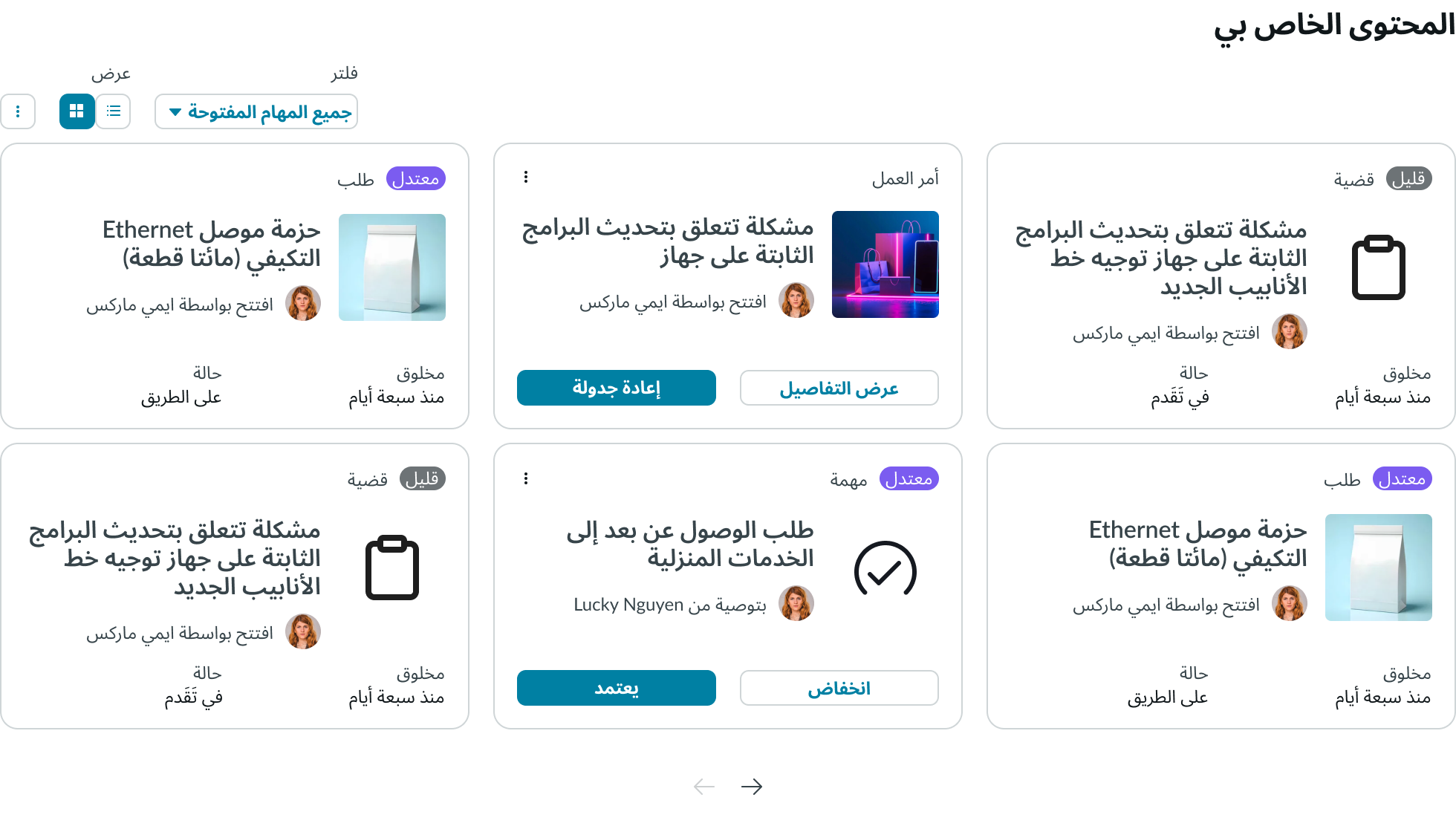 data set displayed in a right-to-left language