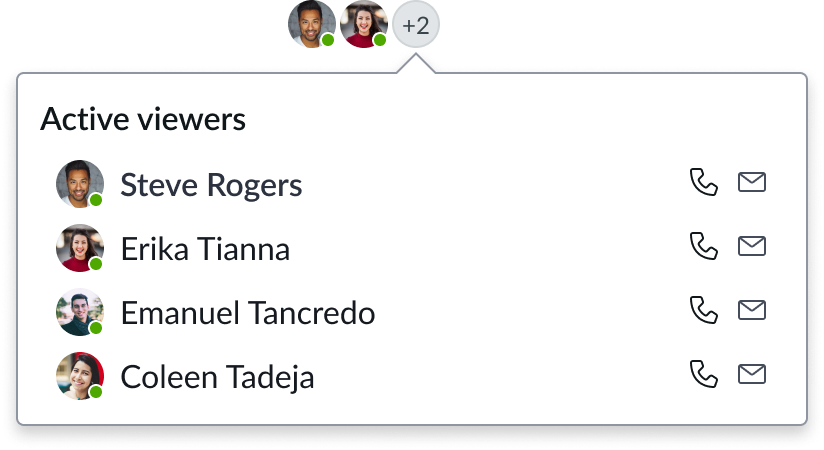 Overflow trigger avatar selected showing all additional concurrent users of the record