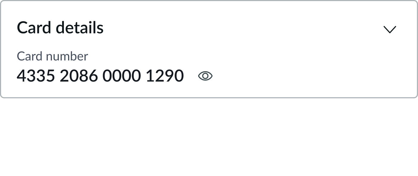 Card data security container configured to Display card data, showing the card number fully revealed