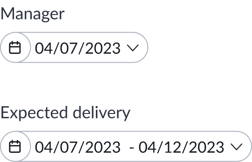 date type of filters, showing a single date and date
ranges